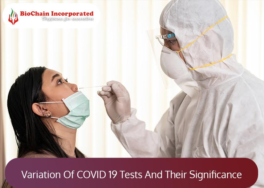 What Are The Two Most Effective Covid 19 Tests? Know In Detail