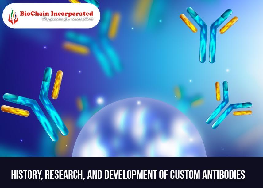 History, Research, And Development Of Custom Antibodies