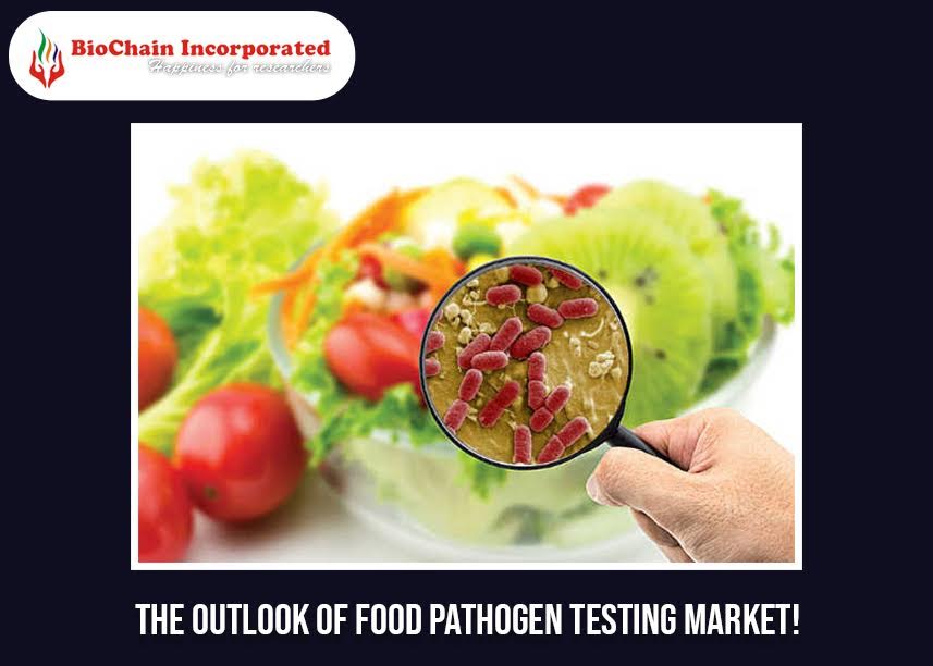 An Account Of The Development Of PCR Technology In The Food Market