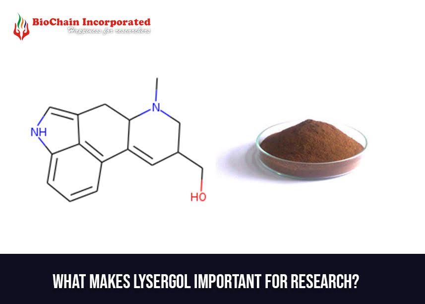 All You Need To Know About Lysergol: Quick Information