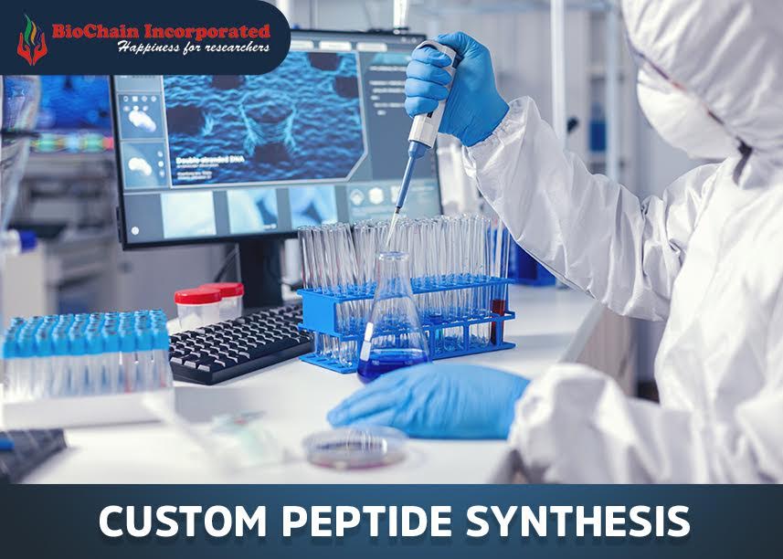 Insight Into The Peptide Synthesis Market: An Overview