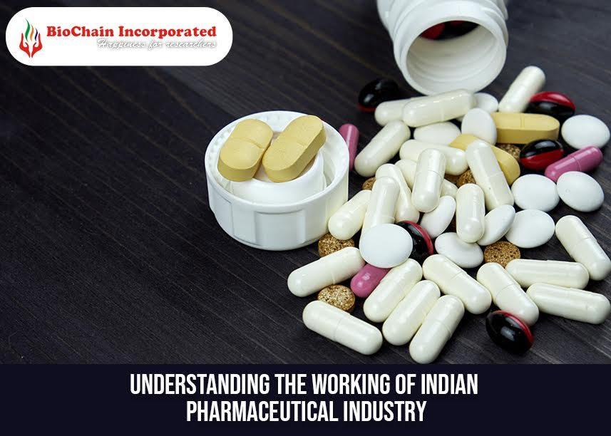 Working Knowledge Of Active Pharmaceutical Ingredient (API's): All You Need To Know