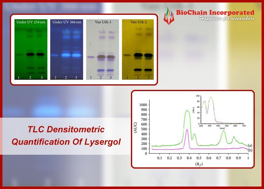 An Intensive Approach Towards The Isolation Of Lysergol And Study