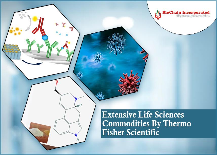 Thermo Fisher Scientific: The Hubspot For Biological Products!