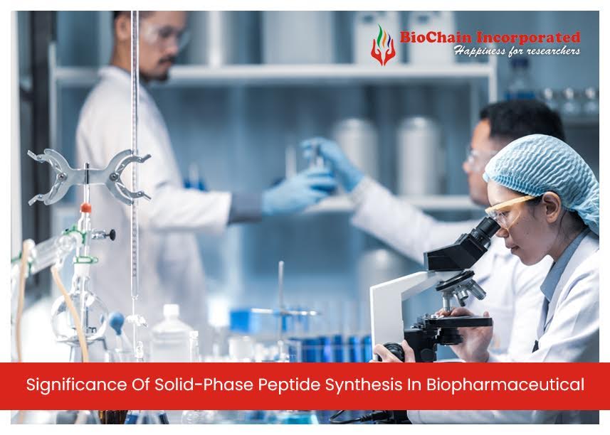 What Is Solid-Phase Peptide Synthesis? Is It Vital For Research?