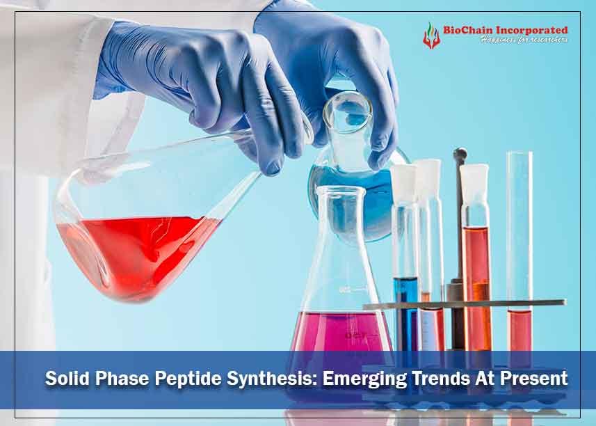 Peptide Synthesis: Challenges In Sustainability And Purification!