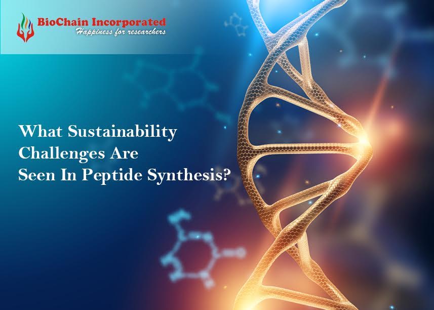 What Are The Trends Originating In Solid Phase Peptide Synthesis?