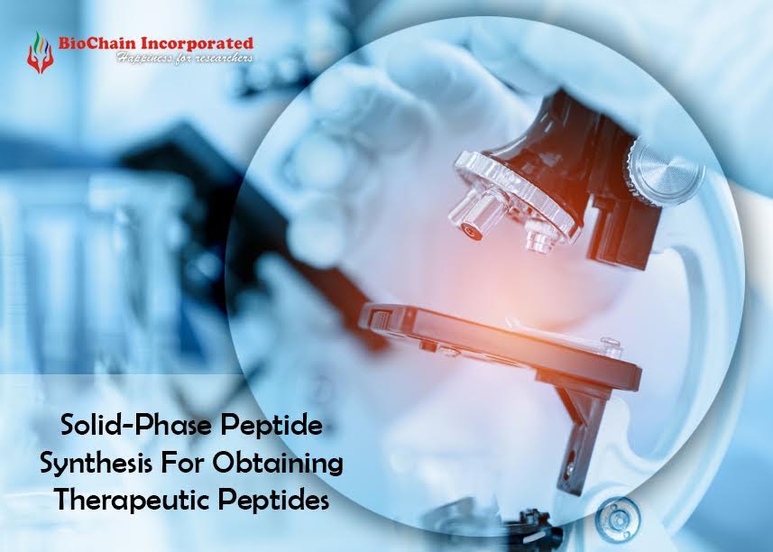 How Does Automated Peptide Synthesis Offers Therapeutic Peptides?