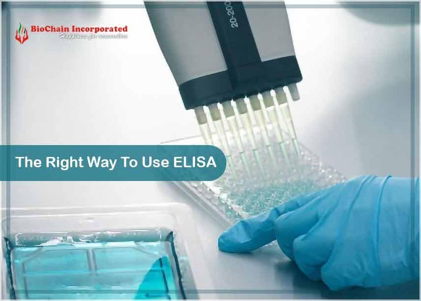 Precautions And Safety Measures To Consider While Using ELISA Kits
