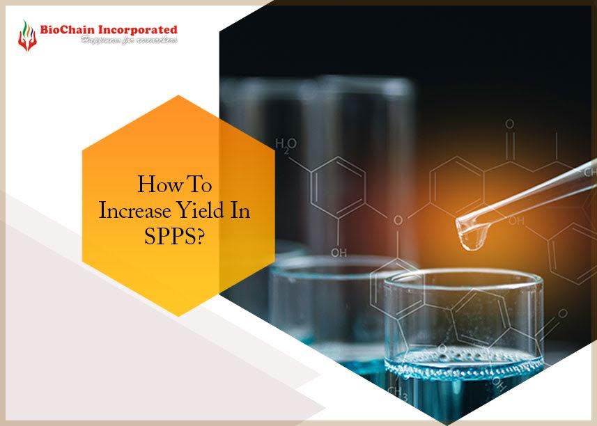 Tips To Ensure Proper Purity In Solid-Phase Peptide Synthesis!