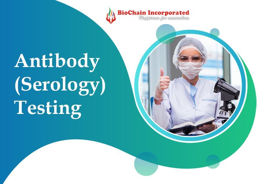 A Comprehensive Guide About Antibody (Serology) Examination!