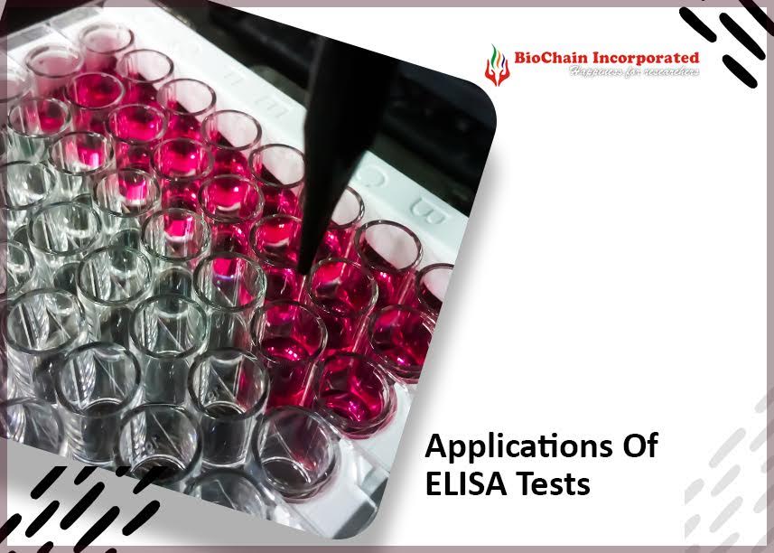 A Comprehensive Guide To ELISA Market And Its Various Types