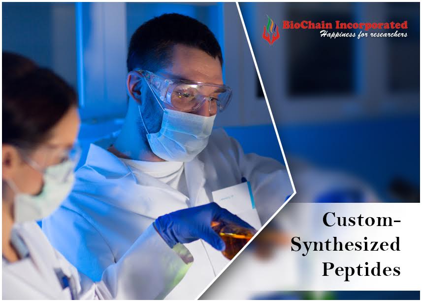 What Are The Complications In Custom Peptides Synthesis?