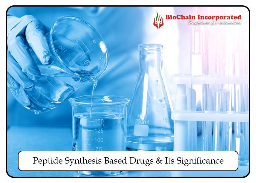How Do Peptide Synthesis-Based Drugs Generally Function?