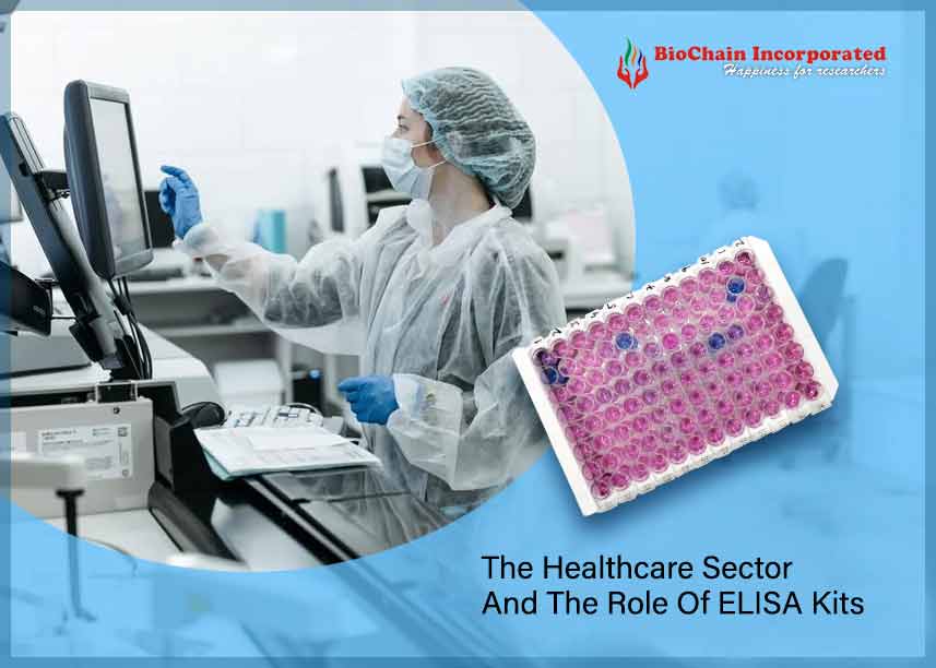 The Ways In Which ELISA Kits Are A Significant Part Of Healthcare