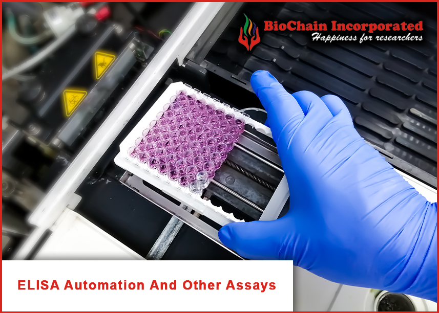 Biological Discovery Of Automating Robust Assays In Science