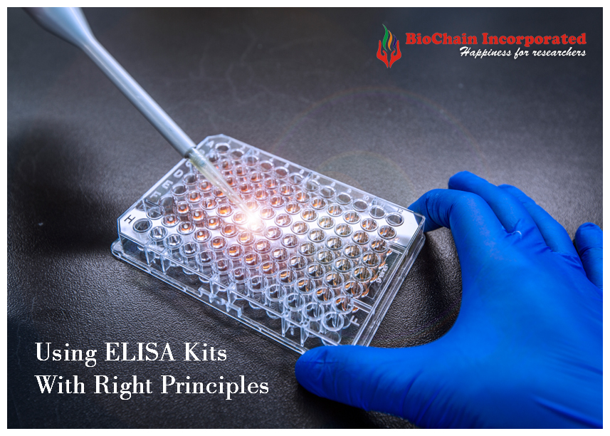 What Role Do ELISA Kits Play In The Healthcare Sector?