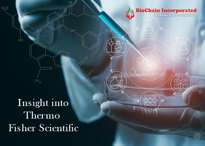 How Has Thermo Fisher Scientific Increased Its Availability On The web?