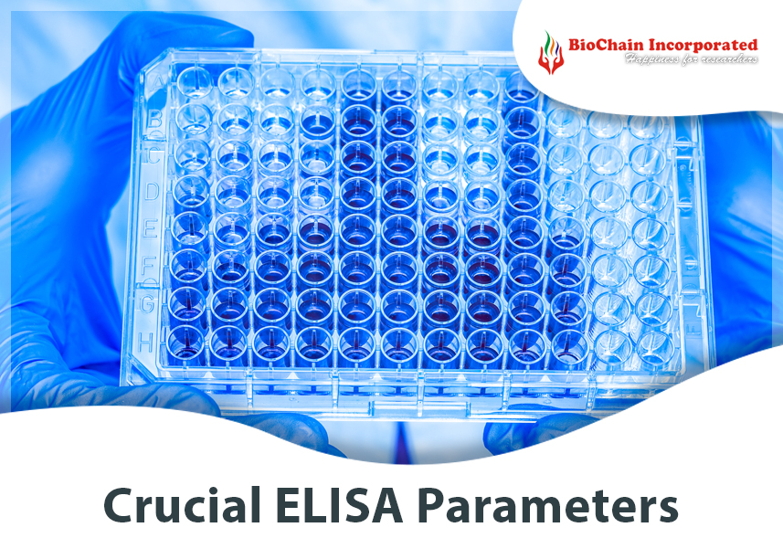 Why are sensitivity and specificity crucial ELISA parameters?