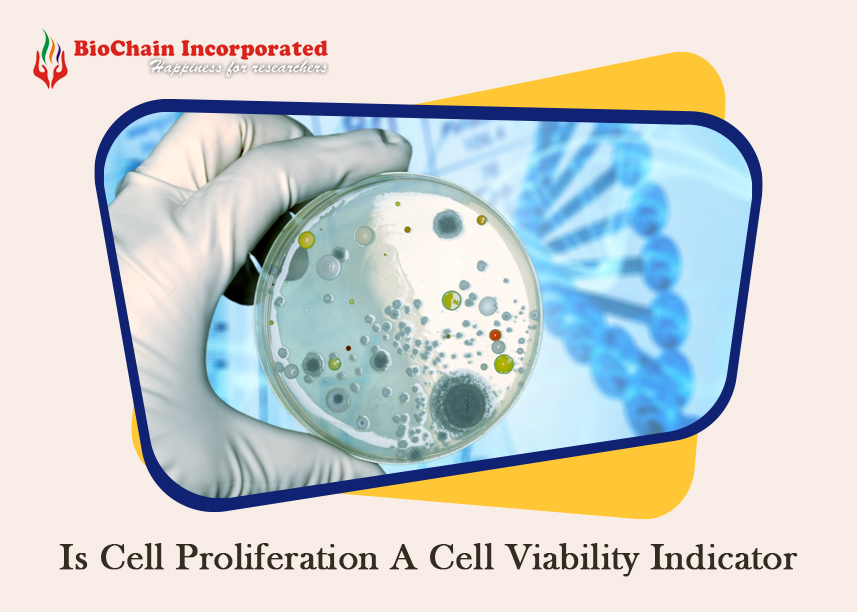 A Brief Summary of Metabolic State, Cell Growth, and Cell Death