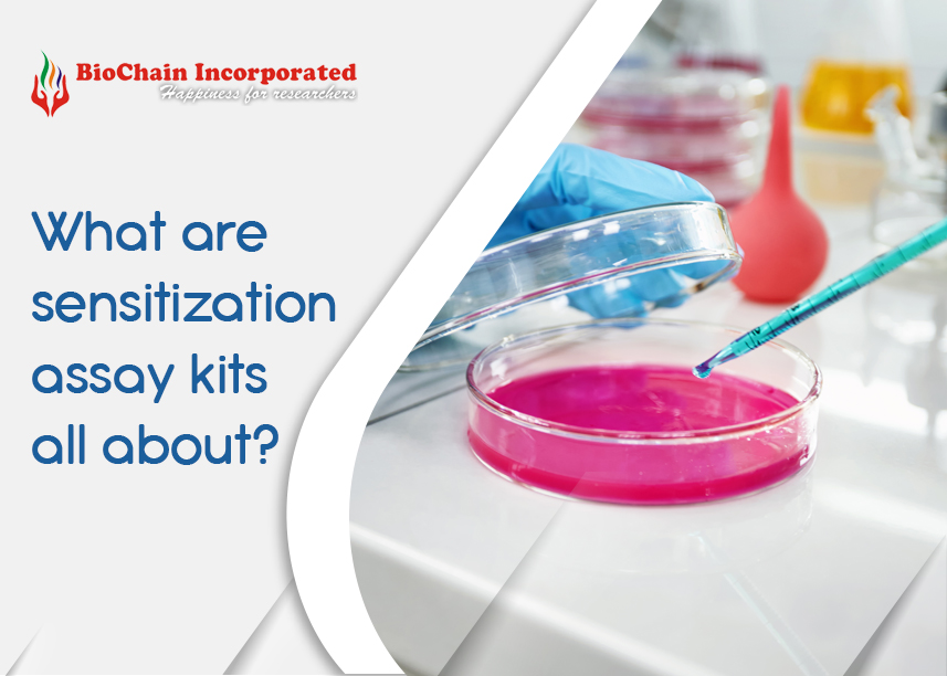 Skin Sensitization: A Highly Significant Assay Kit!