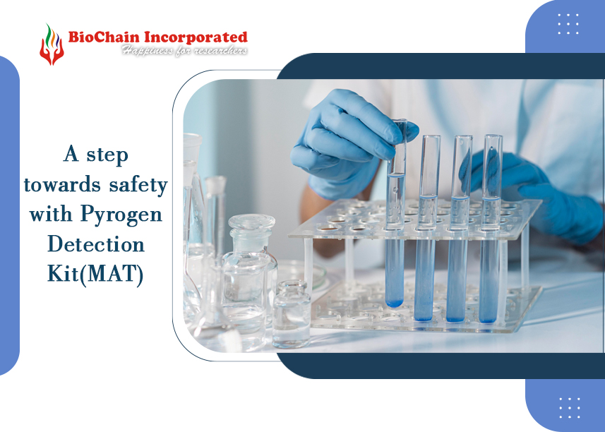 Discovering the Power of instaCELL® Pyrogen Detection Kit (MAT)