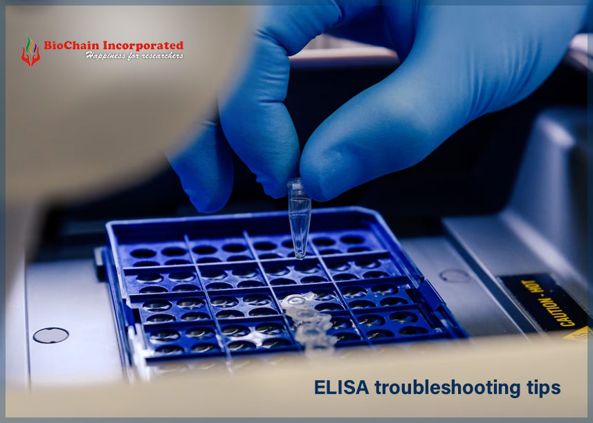  Ensure precise and reliable results with these ELISA troubleshooting