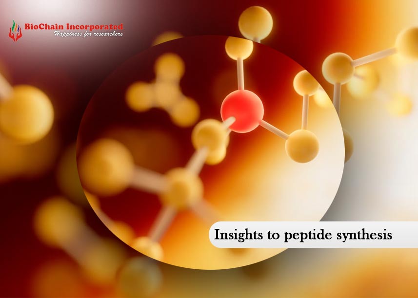 Unlock the Secrets of Peptide Synthesis with Biochain, a leader in the industry
