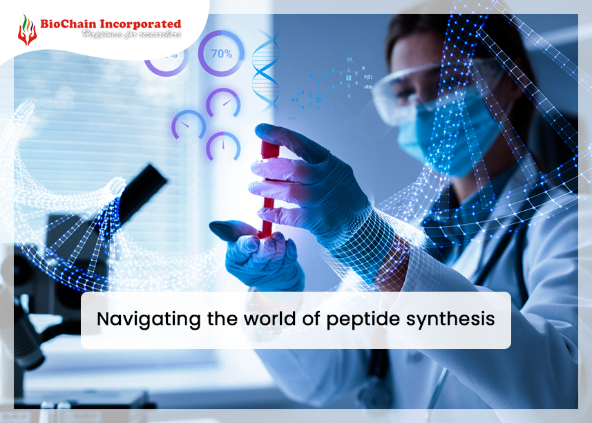 The Science Behind The Magic of Peptide Synthesis
