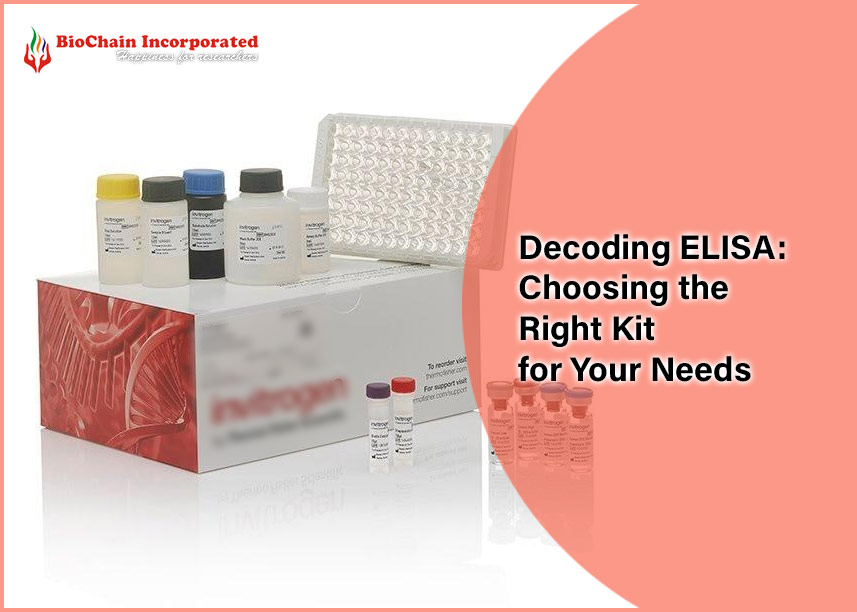  Decoding ELISA: Choosing the Right Kit for Your Needs