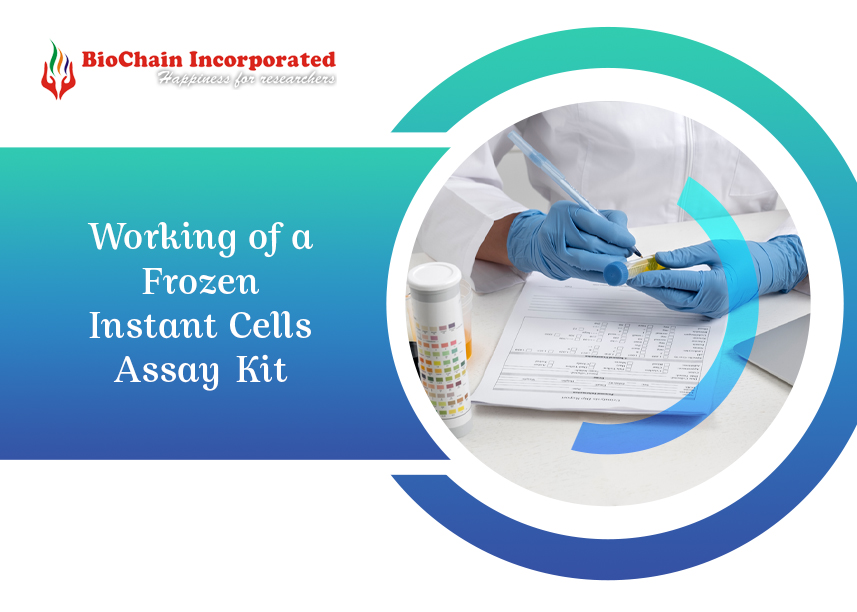 Harnessing the Power of Cryopreservation for Instant Cellular Insights