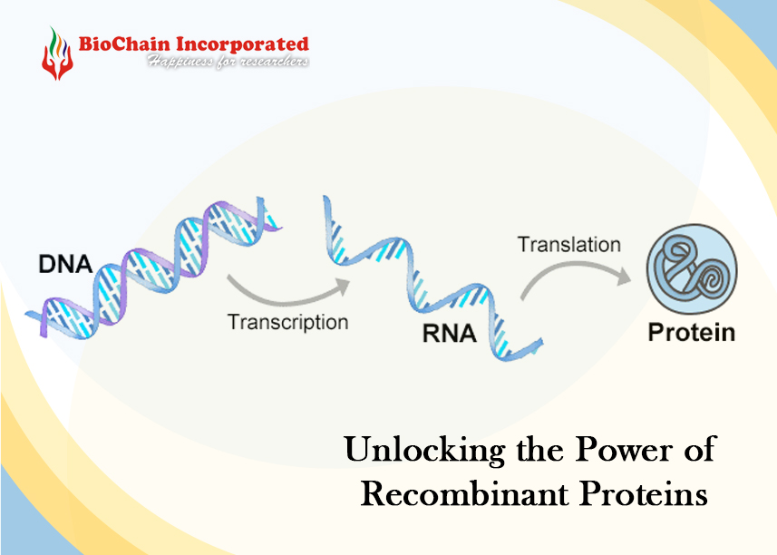Revolutionary Recombinant Proteins: Pioneering Medical Advances