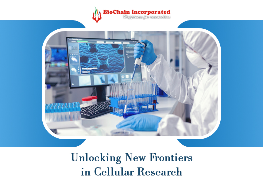 Empowering Indian Research: Using the Frozen Instant Cells Assay Kit