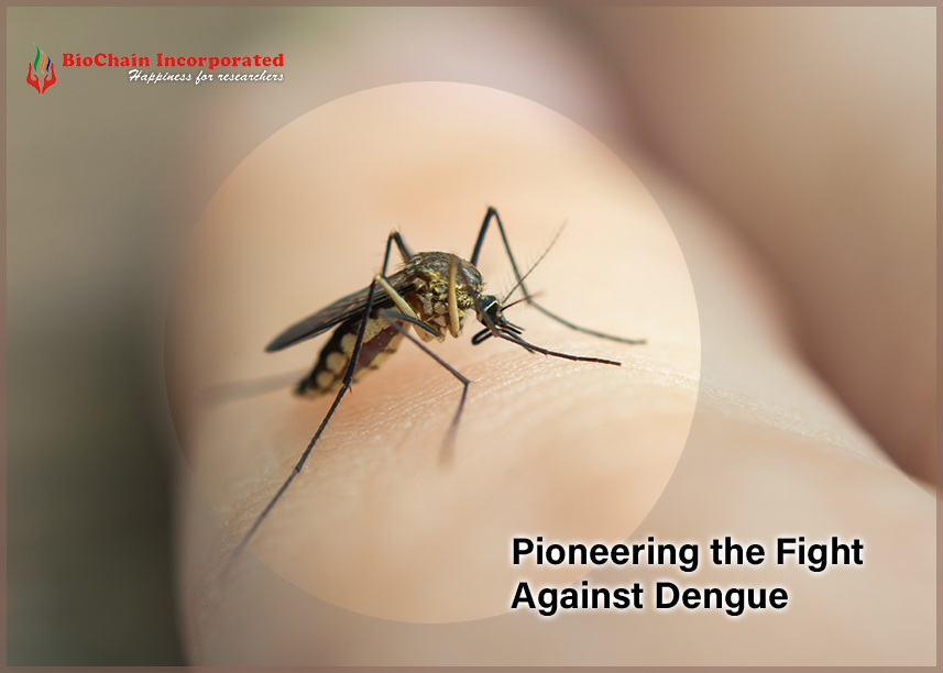 The Power of Recombinant Proteins in Dengue Vaccine Development