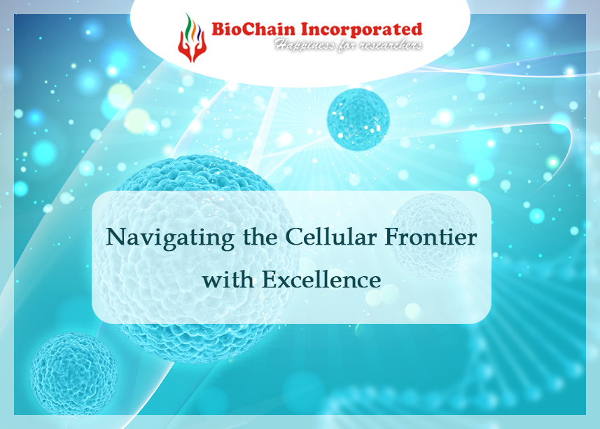 Your Guide to Top Cell Line and Stem Cell Products Suppliers in India