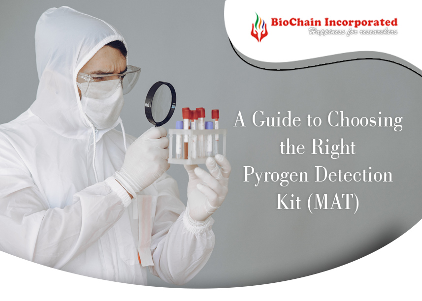 Decoding Pyrogen Detection with the Right MAT Kit, Your Gateway to Reliable Results