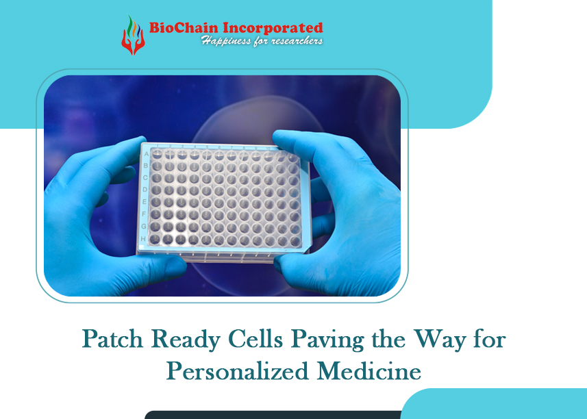 PRC - Patch Ready Cells: Revolutionizing Medicine, One Cell at a Time