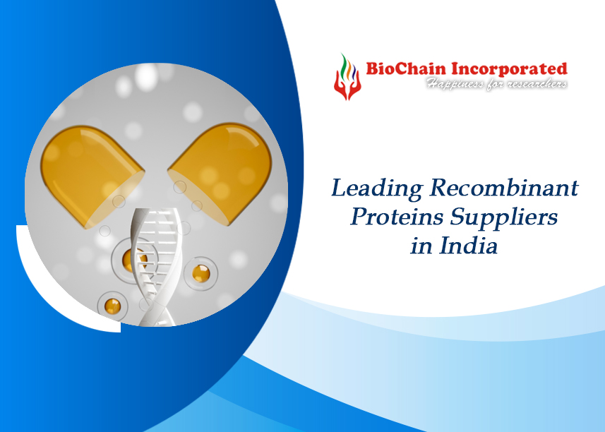 Navigating the Frontiers of Bioprocessing: Recombinant Proteins and Applications