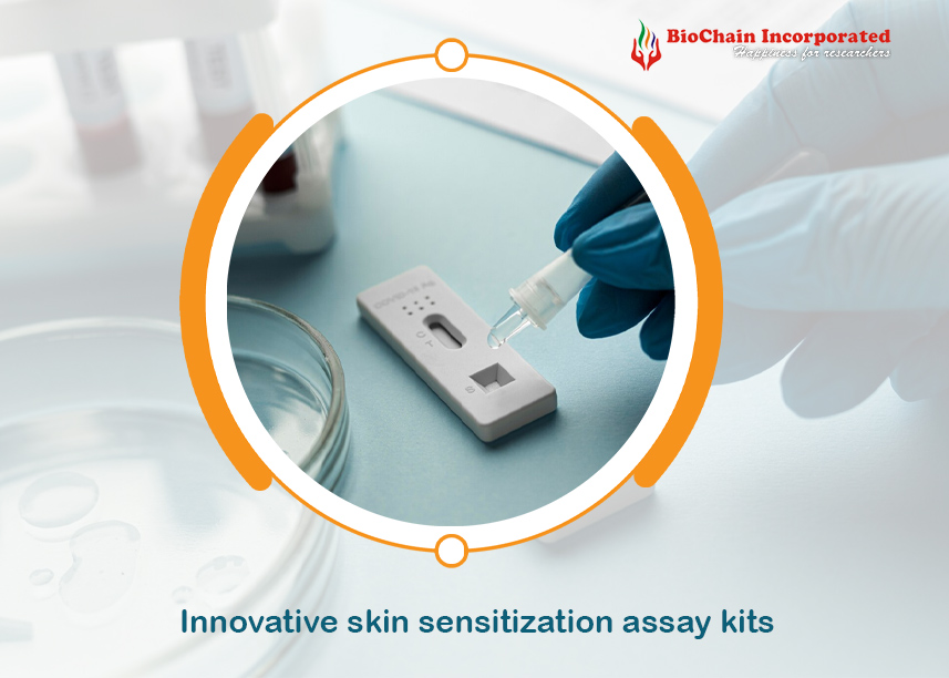 New Guidelines for Skin Sensitization Testing Revolutionize Safety Standards
