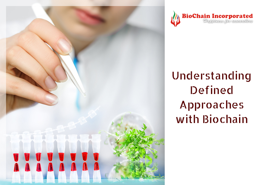 Exploring Defined Approaches for Skin Sensitization with Biochain's Assay Kits