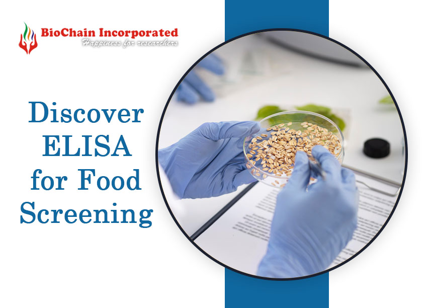 Demystifying ELISA Kits: A Beginner's Guide to Food Screening