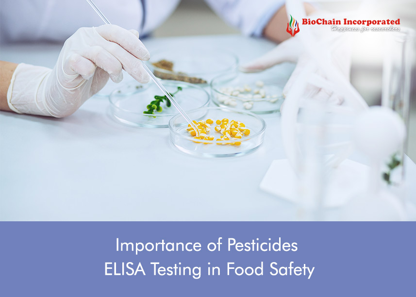What is a Pesticides ELISA Kit? The Importance of Pesticides ELISA Testing in Food Safety