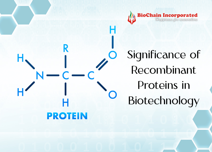 The Significance of Recombinant Proteins in Biotechnology