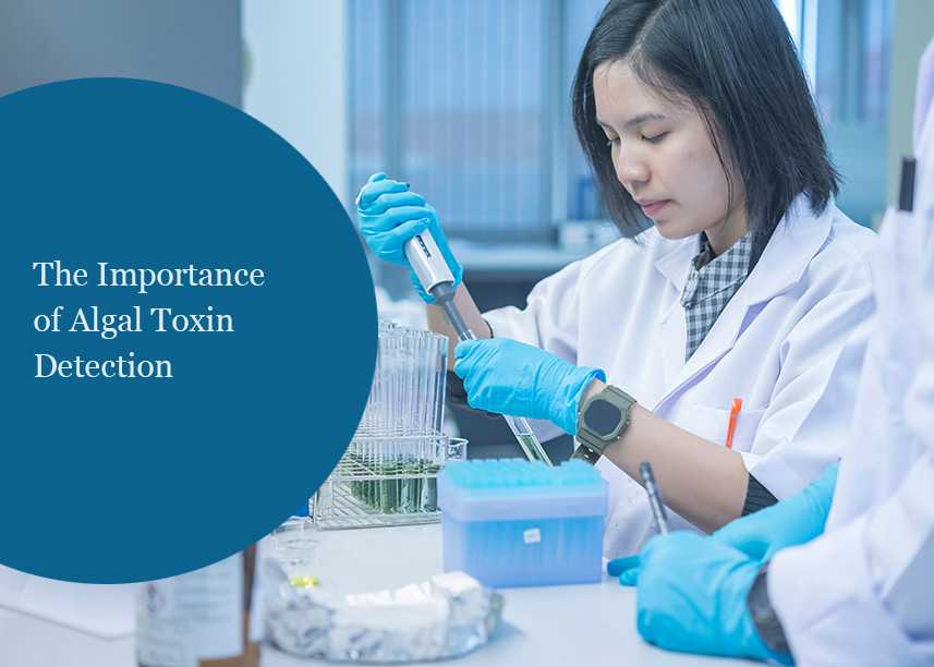 The Importance of Algal Toxin Detection: Exploring ELISA Kit Applications
