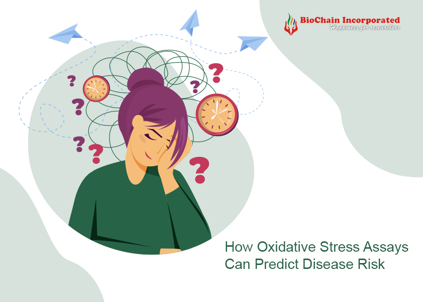 How Oxidative Stress Assays Can Predict Disease Risk