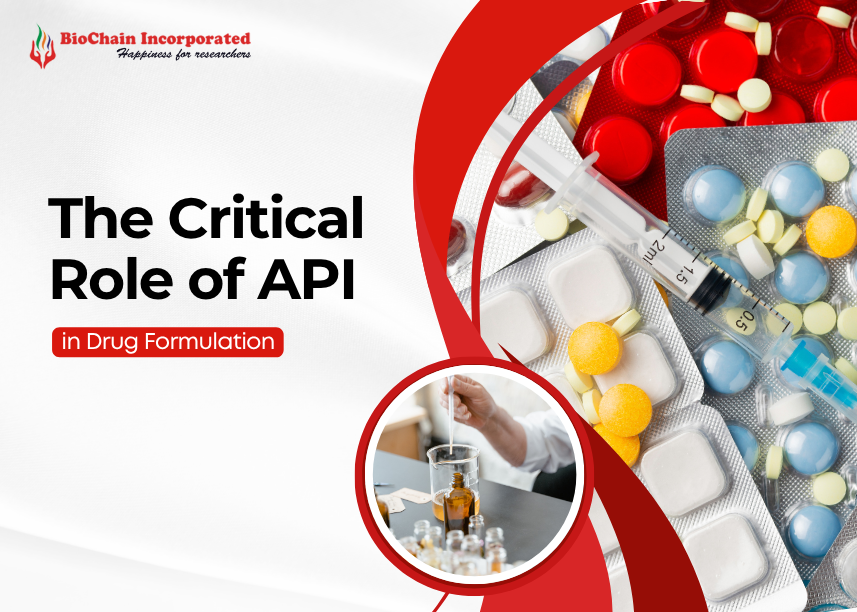 Why API is the most critical component in any drug formulation
