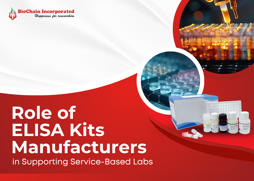 Role of ELISA Kits Manufacturer in Supporting Service-Based Labs