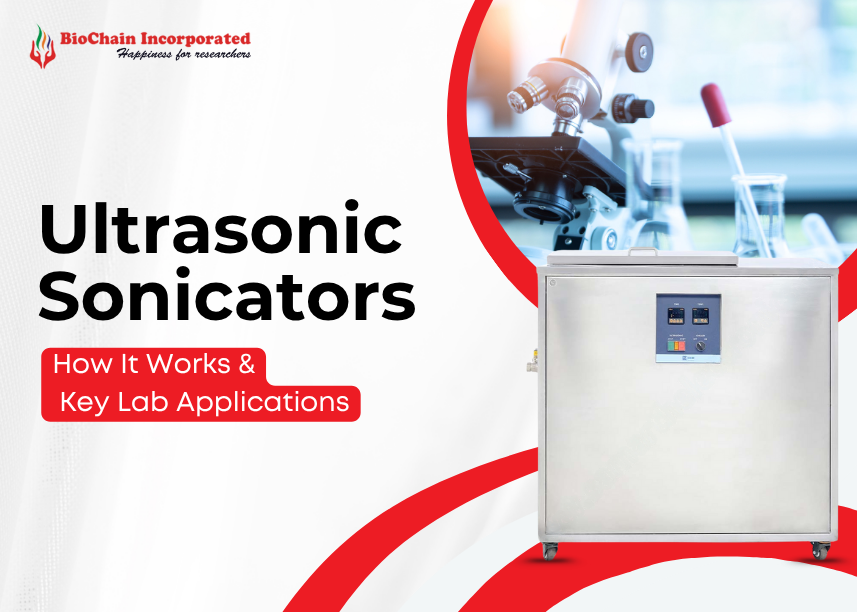 Ultrasonic Sonicator: A Complete Guide to Its Uses, and How It Works in the Lab