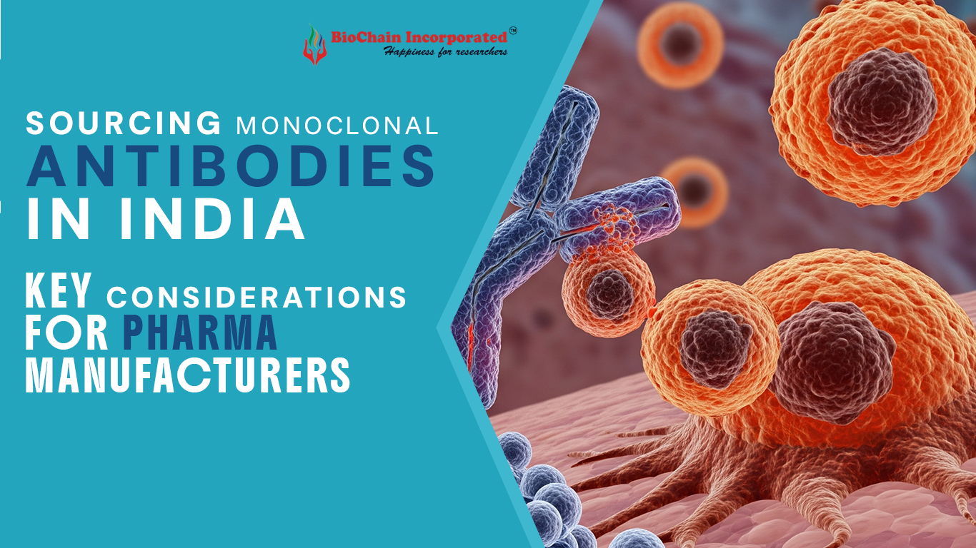 Key Considerations on Sourcing Monoclonal Antibodies in India for Pharma Manufacturers 