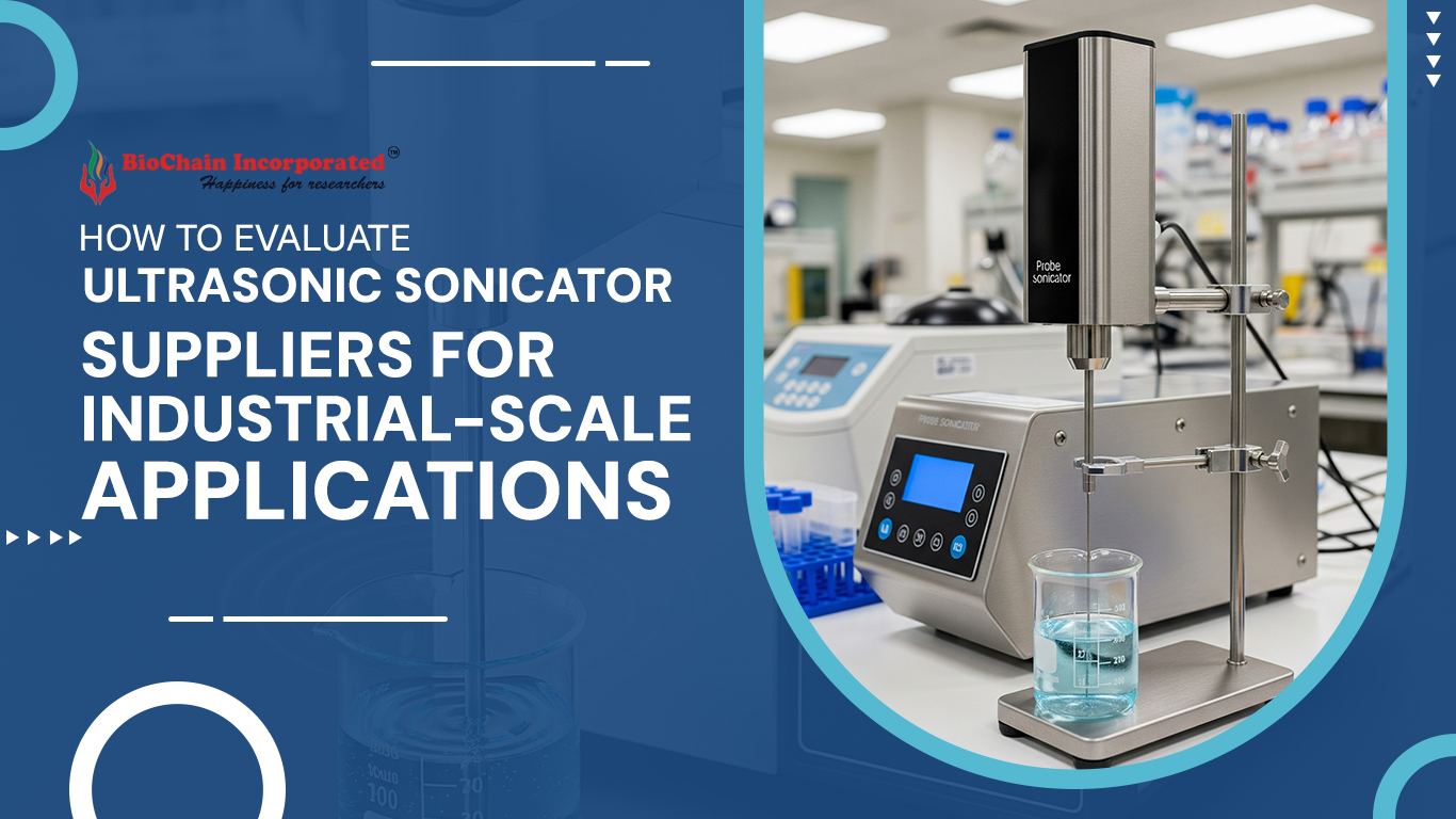 How to Evaluate Ultrasonic Sonicator Suppliers for Industrial-Scale Applications 